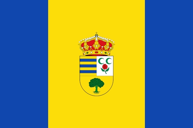 Bandera con escudo