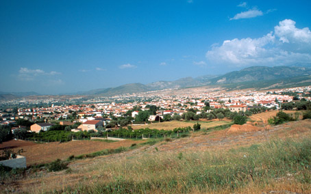 Vega