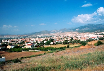 vega
